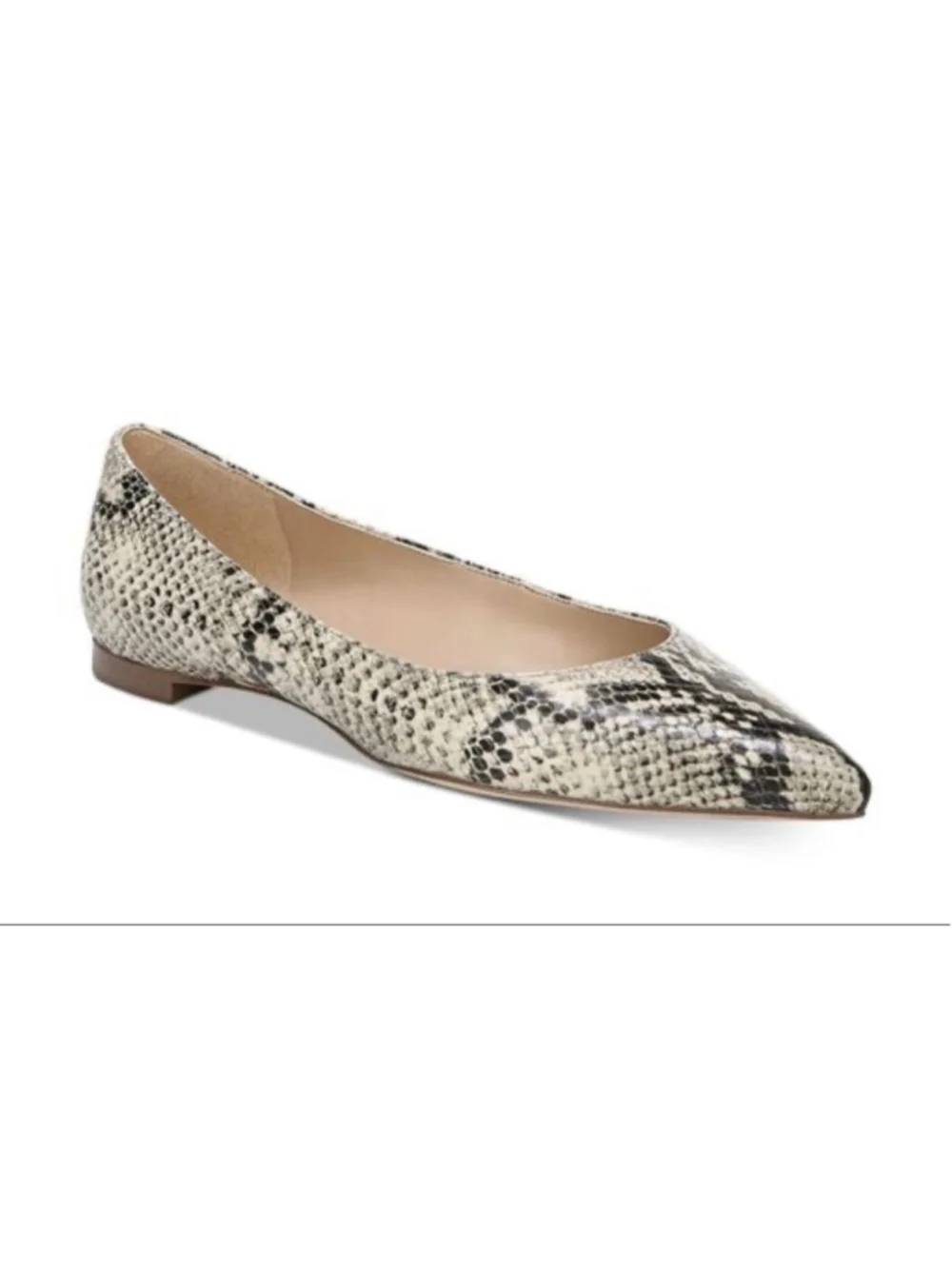 Sam Edelman chic pointed